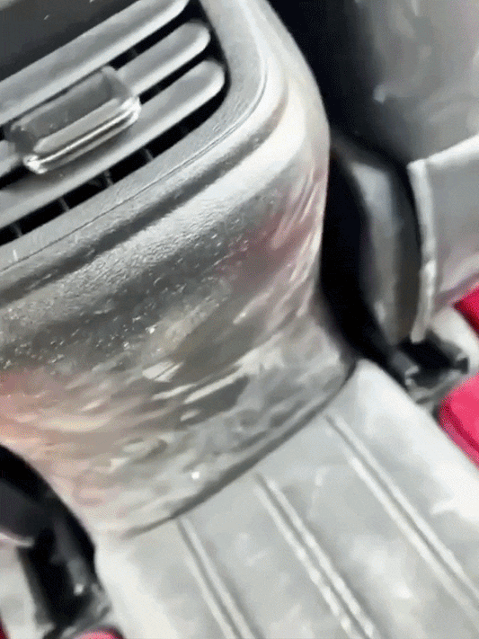 PureVision™ - InteriorGuard | Flawless Finish